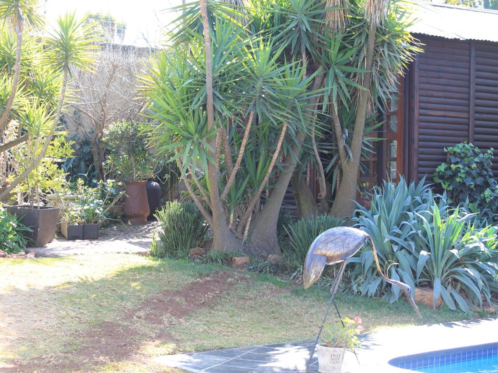 Wild Tree Lodge Benoni Exterior foto