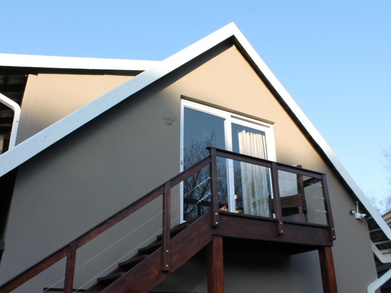 Wild Tree Lodge Benoni Quarto foto