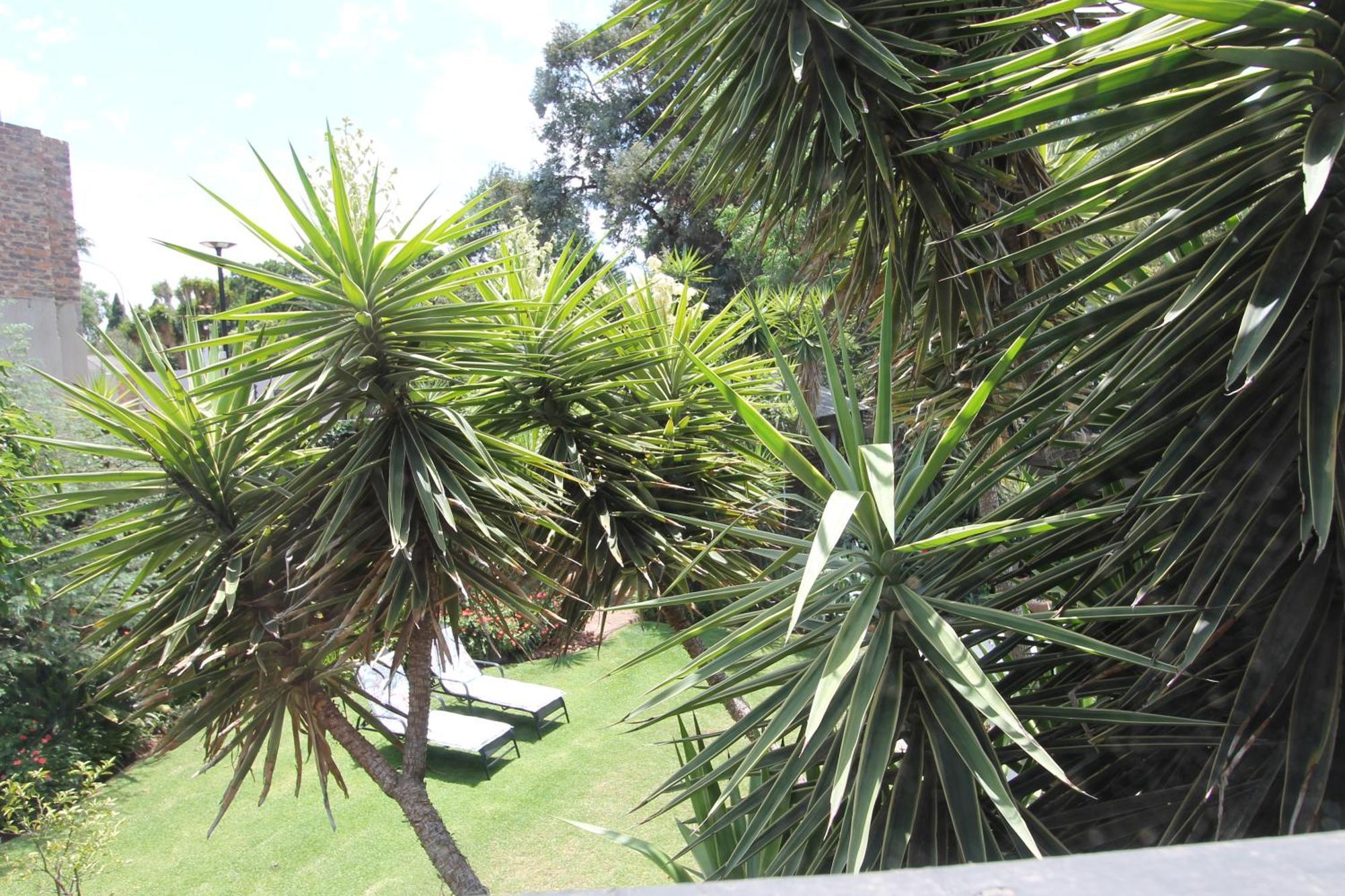 Wild Tree Lodge Benoni Exterior foto