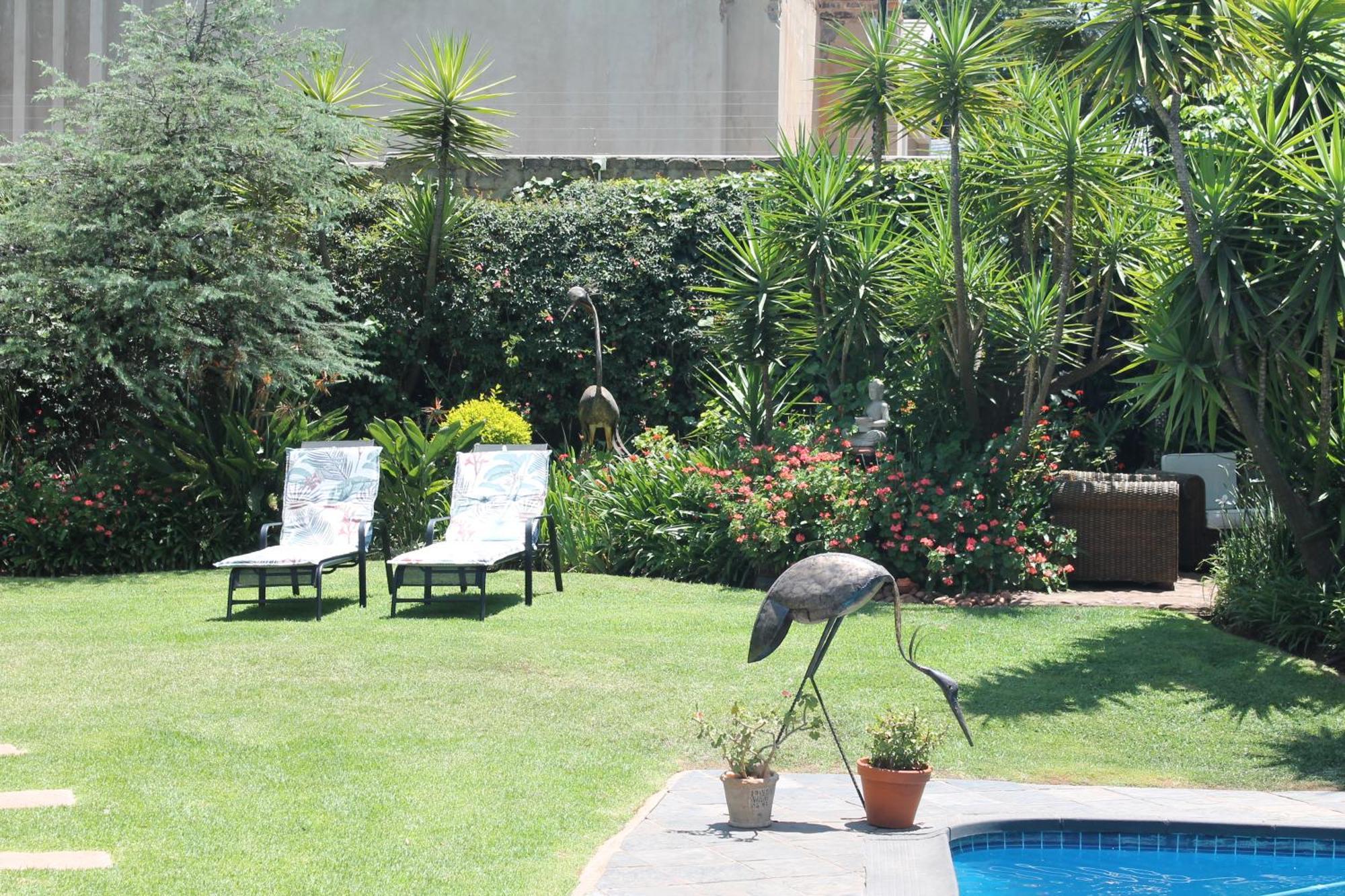 Wild Tree Lodge Benoni Exterior foto